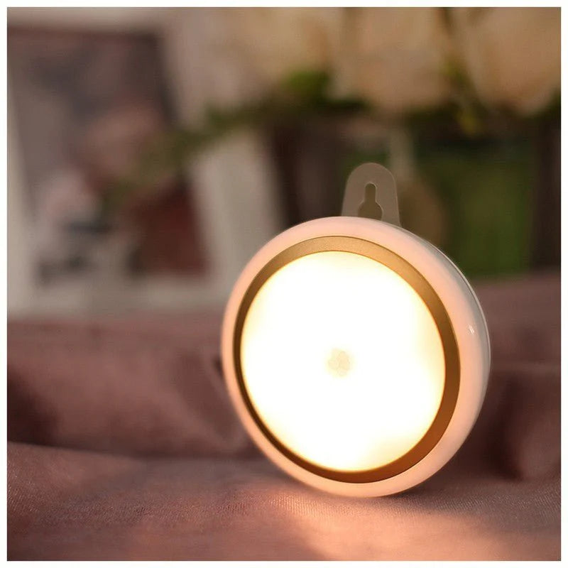 LED Motion Sensor Light