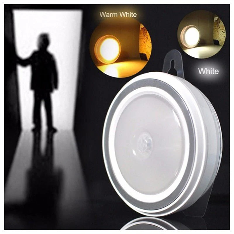 LED Motion Sensor Light